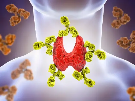 Tarczyca atakowana przez żółte przeciwciała, ilustracja chorób autoimmunologicznych. W tle brązowe przeciwciała.