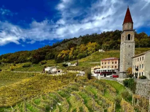 Le colline del Prosecco offrono panorami mozzafiato con vigneti a terrazze, un campanile antico e borghi pittoreschi. Cosa vedere in questo paesaggio incantevole.