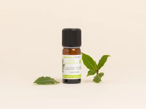 Flacon d'huile essentielle de laurier noble, entouré de feuilles fraîches. Un trésor purifiant et fortifiant.