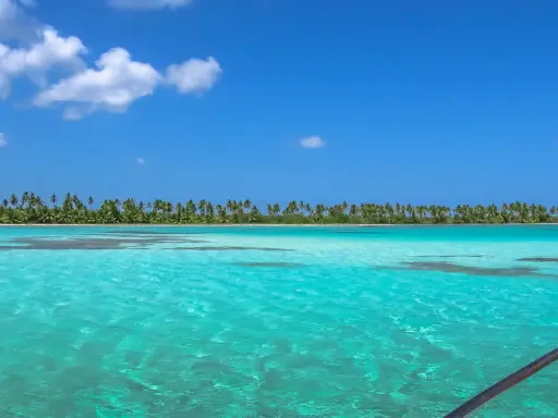 Turkusowe wody i palmy tworzą rajski widok. Czy to Puerto Plata czy Punta Cana? Trudno wybrać!
