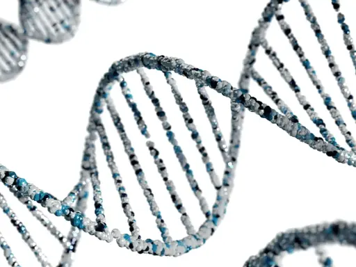 Model DNA z niebieskimi i białymi elementami na białym tle.