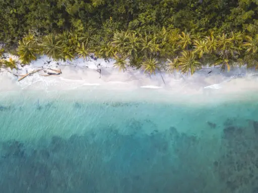 Traumhafter costa rica strand mit Palmen und türkisfarbenem Meer.