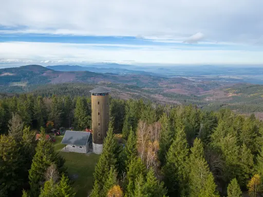 Wieża widokowa na borówkowej górze pośród gęstego lasu. Rozległa panorama krajobrazu.