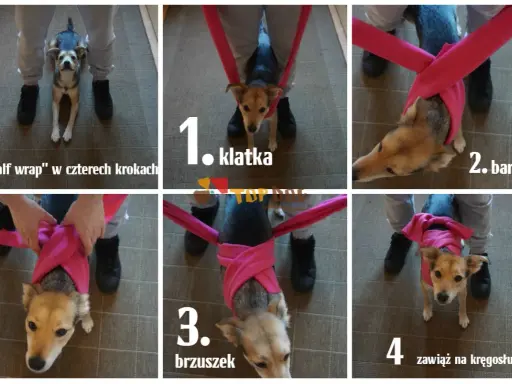 Instrukcja "half wrap" dla psa w czterech krokach. Nie strzelam w sylwestra, ale mój piesek czuje się bezpiecznie.