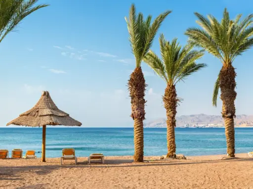 Spiaggia con palme, lettini e ombrellone di paglia. Ideale per un viaggio in Giordania, consigli per relax sul Mar Rosso.