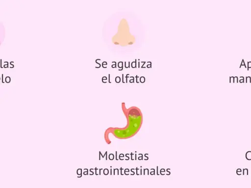 Síntomas comunes en la semana 11 de embarazo: cambios en uñas/pelo, olfato agudizado, manchas solares, encías sensibles, molestias gastrointestinales y calambres.