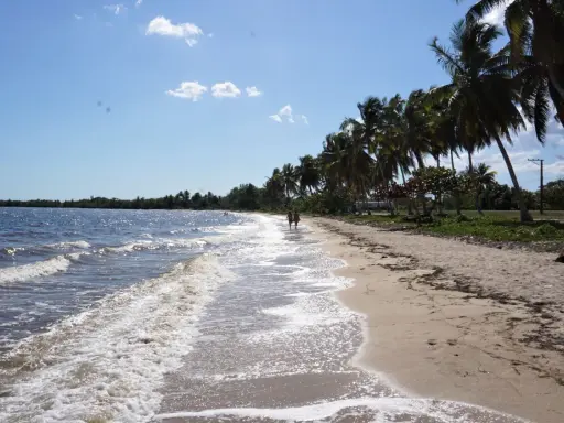 Piękna plaża, palmy, turkusowa woda. Idealne miejsce, by zapytać: Kuba kiedy jechać?
