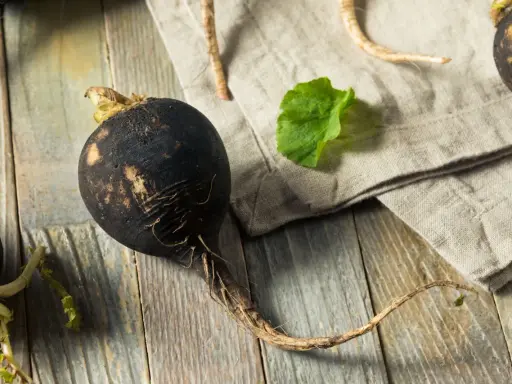 Gros radis noir rustique, avec ses racines fines, posé sur une planche de bois vieillie. Une feuille verte et un tissu de lin complètent la scène.