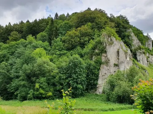Zielony las i skaliste zbocza, idealne na wędrówkę trasą Maczuga Herkulesa.
