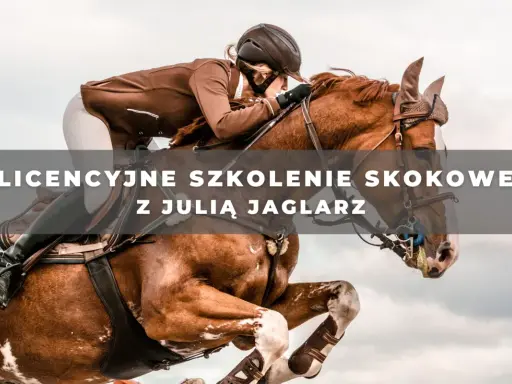 Jeździec w brązowej kurtce skacze na koniu przez przeszkodę.