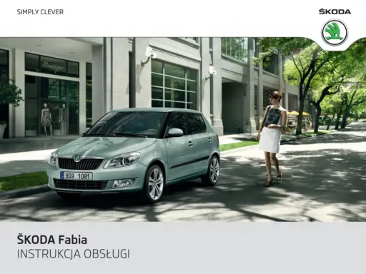 Wymiana chłodnicy Skoda Fabia: Jak zrobić to samemu i zaoszczędzić?