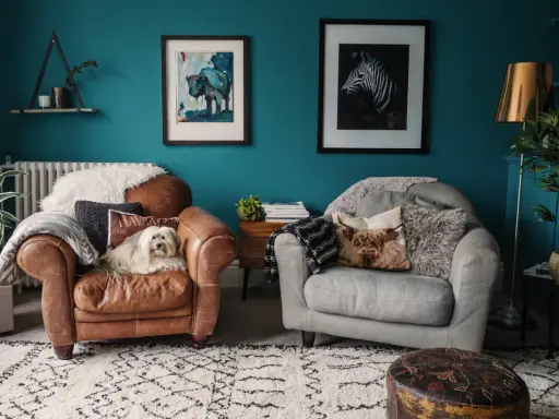 Un cane bianco su una poltrona di pelle marrone, con pareti color marrs green e quadri di animali.