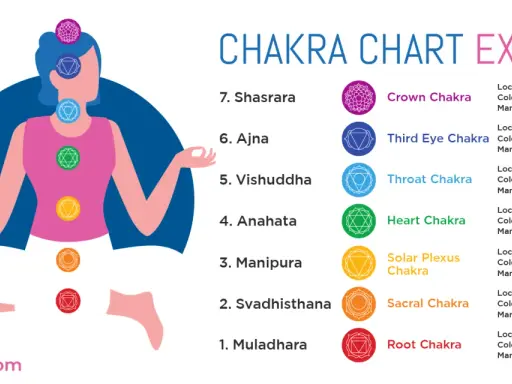 Illustration av en person i meditationsställning med sju färgade chakran längs ryggraden, som visar en guide för chakra meditation.