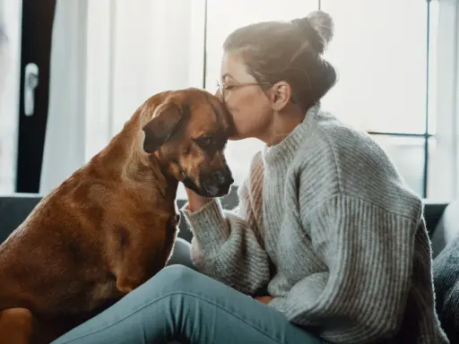 En kvinna kysser sin hunds huvud, en gest av saknad och sorg. Hunden ser trött ut, som om den delar hennes känslor.