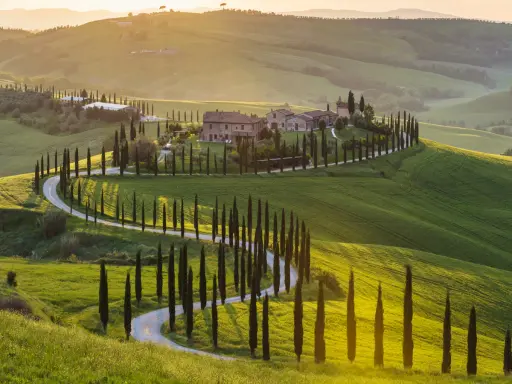 Colline toscane al tramonto, cipressi lungo una strada tortuosa, un casale in pietra. Ecco cosa vedere in Val d'Orcia.