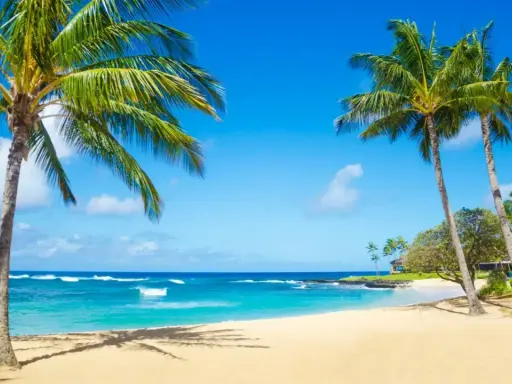 Traumhafter Hawaii Beach mit Palmen, türkisblauem Wasser und sanften Wellen unter strahlend blauem Himmel.