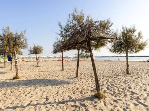 Alberi di tamerici creano ombra sulla spiaggia dorata. In lontananza, lettini e ombrelloni attendono i bagnanti.