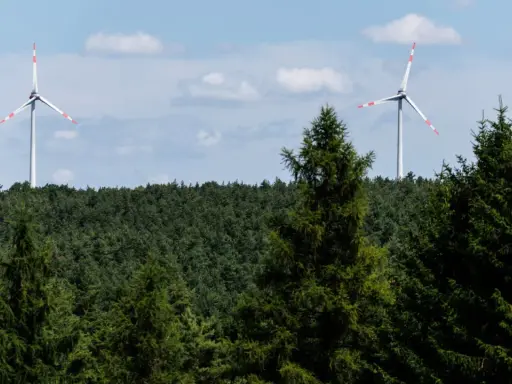 Zwei Windräder ragen über einen dichten Wald. Ein Onshore-Windpark in Deutschland, der saubere Energie erzeugt.