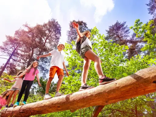 Niños en un campamento de verano practicando equilibrio sobre un tronco caído en un bosque soleado.