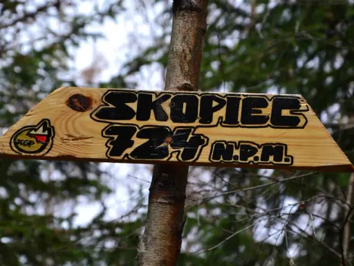 Drewniana tabliczka na drzewie informuje o szczycie Skopiec 724 m n.p.m.