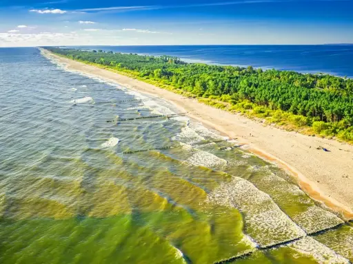 Plaża z sosnowym lasem i falującym morzem. Tu może być najcieplejsza woda w Bałtyku, idealna na letni relaks.