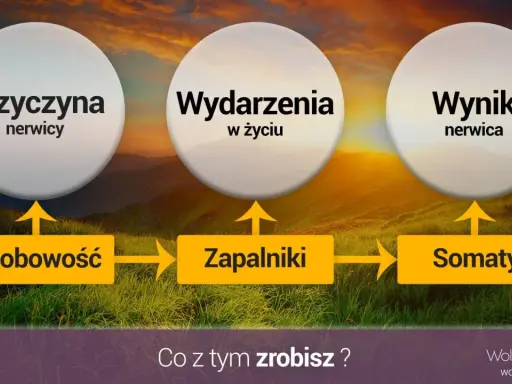 Schemat wyjaśniający przyczyny nerwicy: osobowość, wydarzenia życiowe i zapalniki prowadzą do somatycznych objawów nerwicy.