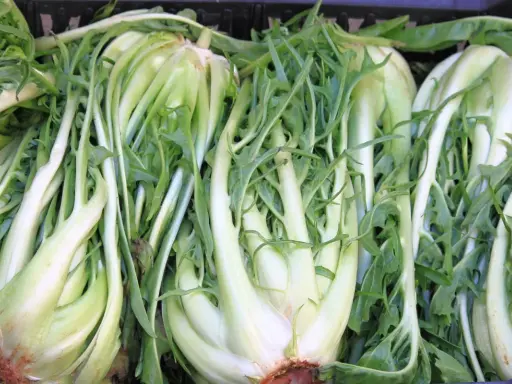Des endives belges, parfaites pour une salade cornet d'Anjou croquante et savoureuse.