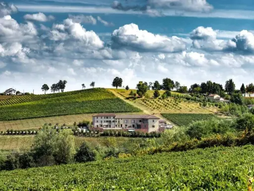 Un perfetto weekend nel Monferrato tra vigneti rigogliosi e colline dolci, con un casale in pietra che domina il paesaggio.