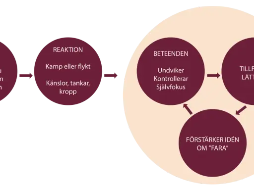 Schema som illustrerar acceptans psykologi: situation, reaktion (kamp/flykt, känslor, tankar, kropp), beteenden (undviker, kontrollerar, självfokus) leder till tillfällig lättnad, som förstärker idén om fara.