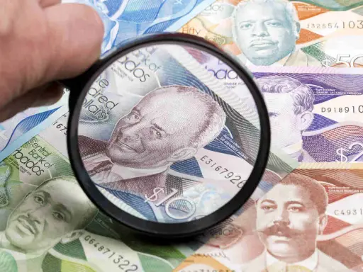 Förstoringsglas granskar sedlar med porträtt, visar Barbados valuta.