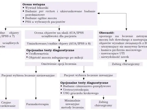 Schemat diagnostyczny BPH: USG gruczołu krokowego jako jedna z opcji po ocenie objawów i wyborze leczenia inwazyjnego.