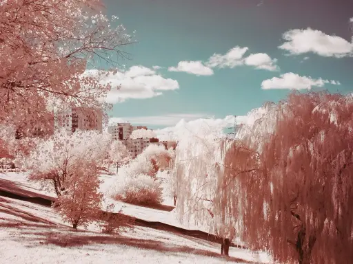Paisaje urbano con árboles de sauce llorón y edificios, capturado en **fotografía infrarroja** con un cielo azul y nubes blancas.