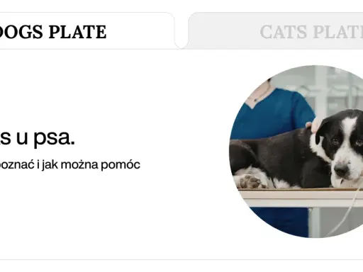 Pies z objawami refluksu leży na stole weterynaryjnym. Tekst informuje o refluksie u psa i sposobach pomocy dietą.