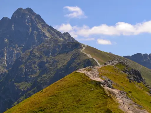 Szlak turystyczny w Tatrach Zachodnich wije się po zielonych zboczach i skalistych graniach.