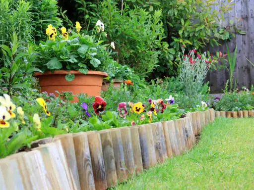 Un joli parterre de pensées colorées délimite le jardin avec une bordure en bois.