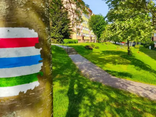 Kolor szlaku na drzewie – czerwony, biały, niebieski i zielony – wyznacza ścieżkę przez zielony park z blokami mieszkalnymi w tle.