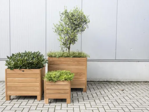 Trois jardinières en bois accueillent des plantes vertes luxuriantes, créant un espace extérieur invitant.