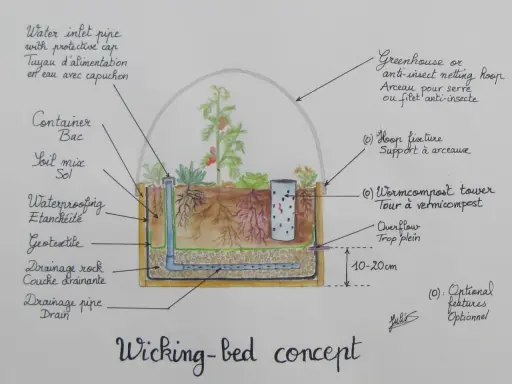 Schéma d'un **wicking bed francais** : bac, terre, tuyau d'eau, drainage, tour à vermicompost, sous serre.