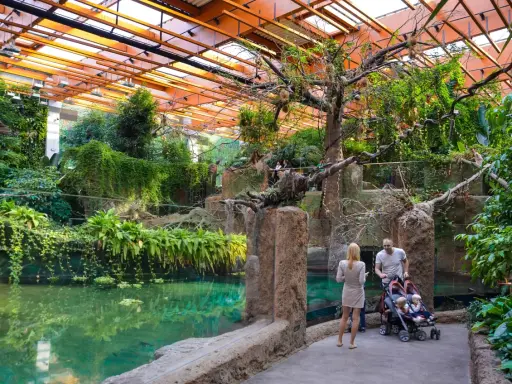 Afrykarium Wrocław: Jedyna taka Afryka! Bilety, dojazd, atrakcje