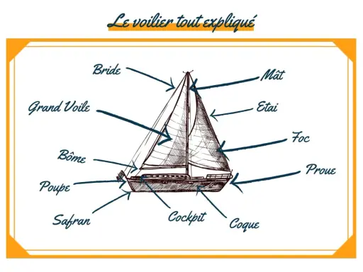 Schéma d'un voilier expliquant les parties : mât, voiles, coque, proue, poupe, safran, cockpit.