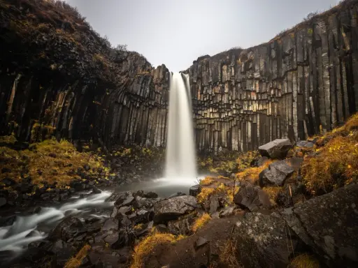 Svartifoss, najpiękniejszy wodospad, spada wśród bazaltowych kolumn. Woda tworzy mgiełkę, a jesienne trawy dodają koloru.