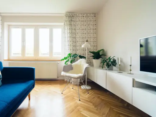 Jasny salon z niebieską kanapą i roślinami. Zasłony z wzorem pomogą jak wyciszyć pokój.