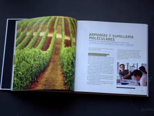 Viñedos verdes y un texto sobre armonías moleculares y papilas gustativas.