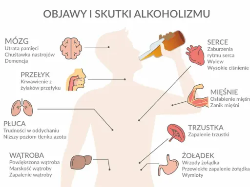 Negatywne skutki picia alkoholu: mózg (demencja, utrata pamięci), serce (wylew, wysokie ciśnienie), wątroba (marskość), żołądek (wrzody).