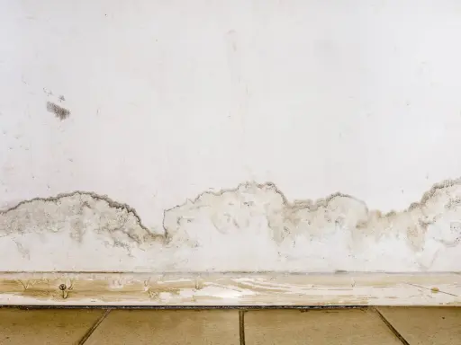 Muffa in casa: macchie scure e umidità sul muro vicino al battiscopa, segno di un problema da risolvere.