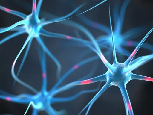Niebieskie neurony z czerwonymi akcentami, symbolizujące potencjalne pregnenolon skutki uboczne.
