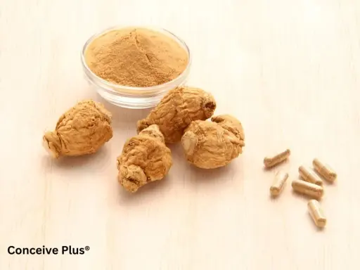 Racines de maca séchées, poudre de maca et gélules sur fond de bois clair. Le maca, une plante péruvienne, est présenté sous différentes formes.