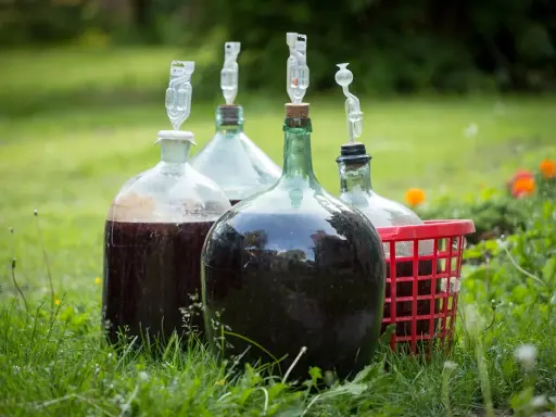 Wino z soku z kartonu: Prosty przepis dla początkujących zrób je sam!