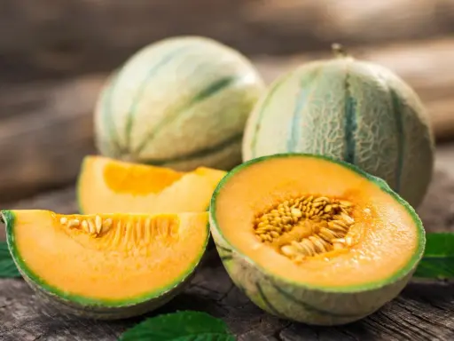 Des melons frais, prêts à être dégustés, témoignent du plaisir de cultiver le melon. La chair orange vif et les graines dorées invitent à la gourmandise.