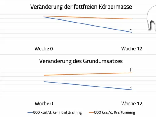 Diagramm zeigt, wie sich fettfreie Körpermasse und Grundumsatz bei 800 kcal/d Diät mit/ohne Krafttraining verändern. Krafttraining hilft, den Grundumsatz beim Abnehmen zu erhalten.